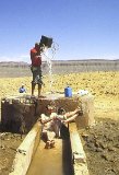 Dans le désert l'eau est précieuse !