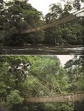 Pont de lianes de Poubara, près de Moanda