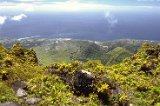 Vue de St Pierre depuis le Mont Pelé
