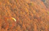 Les belles couleurs d'automne en fin d'après-midi de novembre 2003. Cette photo est parue dans Parapente Mag N°92