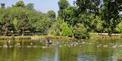 PARI8163a Lac Daumesnil