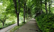 PAR_0255