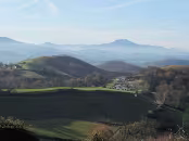DSCF0011