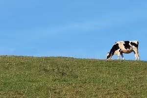 Pays Basque