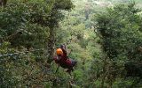 Acrobranche (canopy tour) à Monteverde
