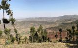 Les hauts-plateaux au sud d'Addis Abeba