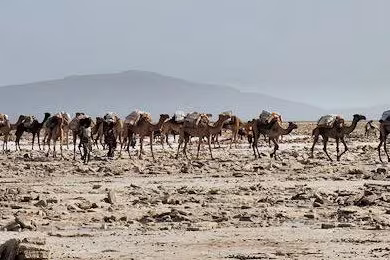 Éthiopie & Djibouti, Feu et sel