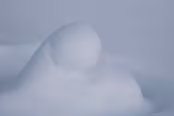 FIN_0160