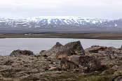 ISLA5072 Lac Uxavatn