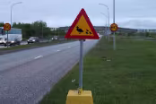 ISL_6506 Reykjavik