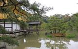 Temple zen Kinkaku-ji