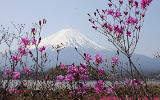 Mont Fuji-yama