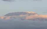 Kilimanjaro