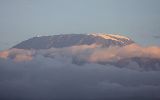 Kilimanjaro