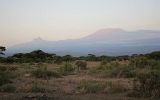 Kilimanjaro