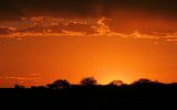 Coucher de soleil sur Etosha
