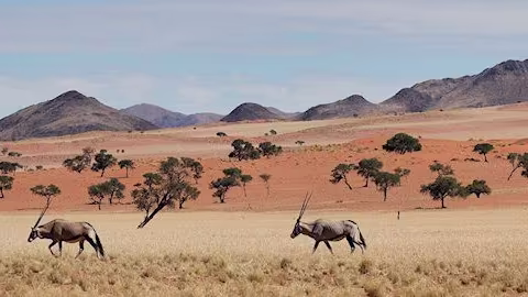 Namibie