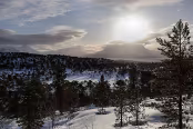 NOR_2769