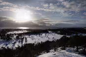 NOR_2774