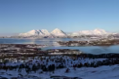 NOR_2916a