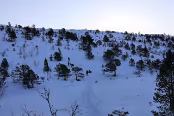 NOR_2917