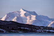 NOR_9908