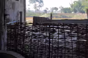 INDE9284 Les toilettes ne doivent pas être loin. Inde 2016, Guwahati