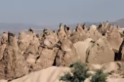 Tur_0201