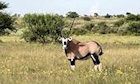 Botswana, Kalahari