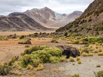 CHB_2295 [Chili] Suriplaza