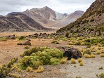 CHB_2295 [Chili] Suriplaza